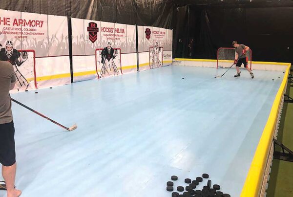 best synthetic ice